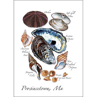 Oyster Assortment image 0
