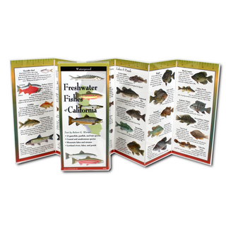 Freshwater Fishes of California image 1