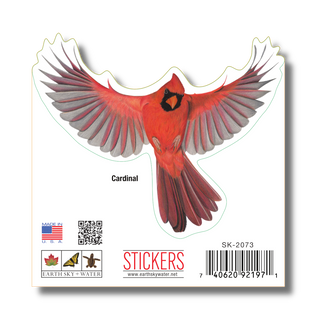 Cardinal in Flight image 1