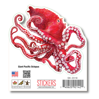 Giant Pacific Octopus image 1