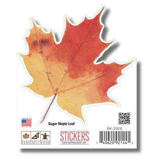 Sugar Maple Leaf image 1