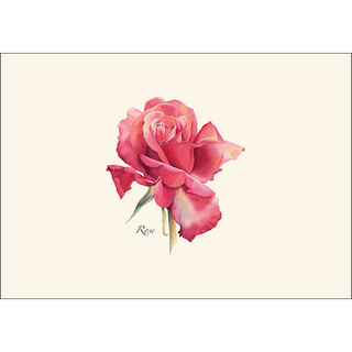 Rose image 1