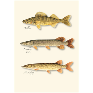 Northern Gamefish Assortment image 1