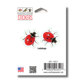 Ladybugs image 1