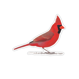 Cardinal image 1