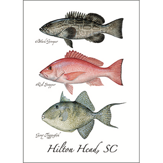Bottom Fish Trio image 0