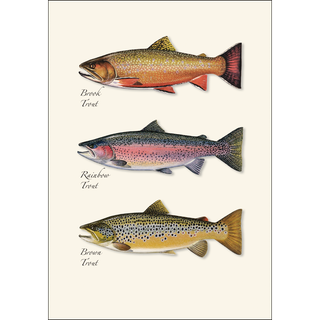 Trout Trio image 1