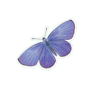 Spring Azure image 1