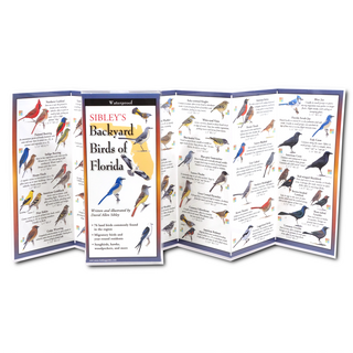 Sibley's Backyard Birds of Florida image 1