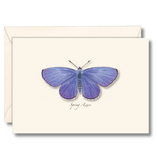 Spring Azure image 0