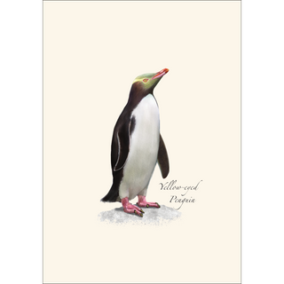 Penguin Assortment image 1