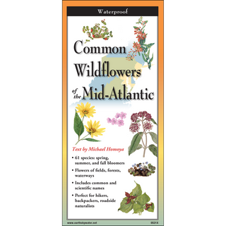 Common Wildflowers of the Mid-Atlantic image 0