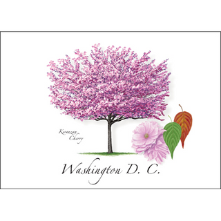 Kwanzan Cherry Tree image 0