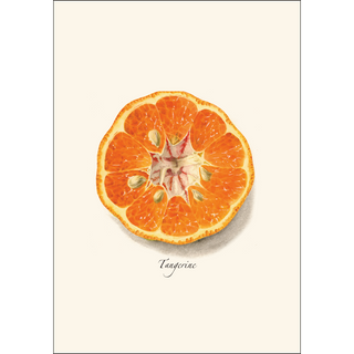 Citrus Assortment image 2