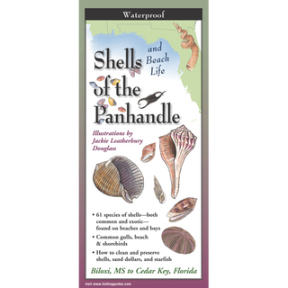 Shells of the Panhandle image 0