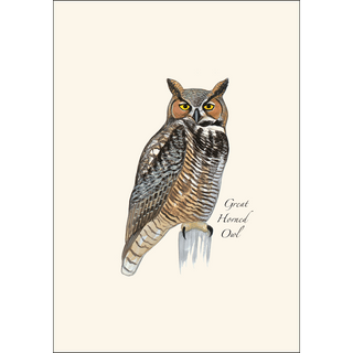 Great Horned Owl image 1