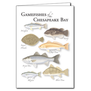 Gamefishes of the Chesapeake Bay - Regional Card image 0