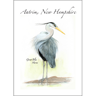 Great Blue Heron image 0