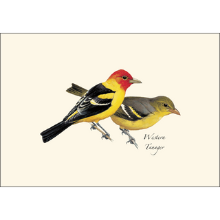 Peterson Western Bird  Assortment image 1