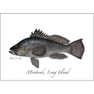 Black Sea Bass image 0