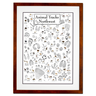 Animal Tracks of the Northwest - Double matted honey frame image