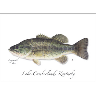 Largemouth Bass image 0