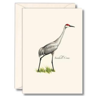Sandhill Crane image 0