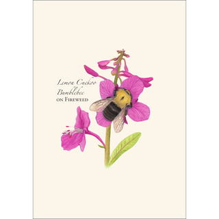 Spring Bee Assortment image 1