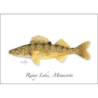 Walleye image 0