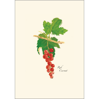 Berry Assortment image 2