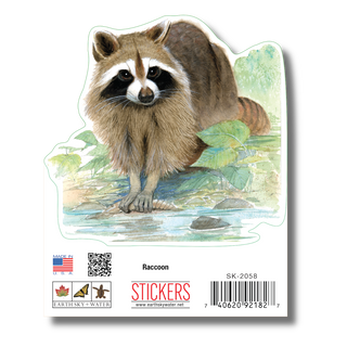 Raccoon image 1