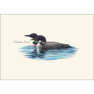 Loon Pair image 1