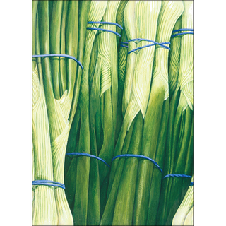 Spring Onions<br>(namedrop unavailable) image 0