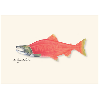 Salmon Assortment image 4