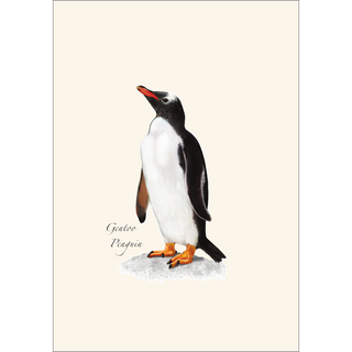 Penguin Assortment image 3