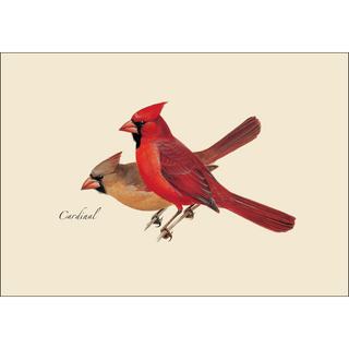 Peterson's Bird Assortment I image 1