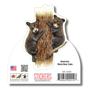 American Black Bear Cubs image 1