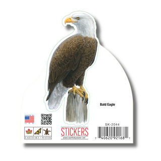 Bald Eagle image 1