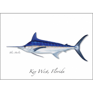 Blue Marlin image 0
