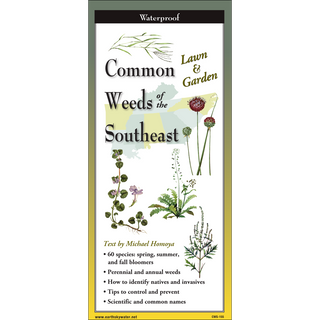 Common Weeds of the Southeast image 0
