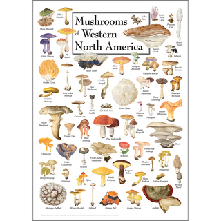 Mushrooms of Western North America - Poster image 0