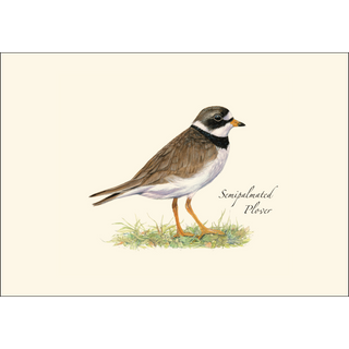Shorebird II Assortment image 1