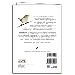 Sibley's Wren image 1