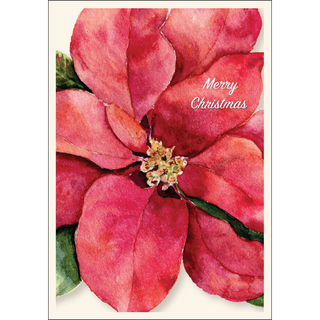 Poinsettia II image 1