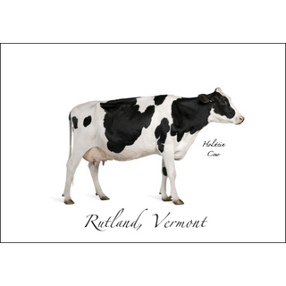 Holstein Cow image 0