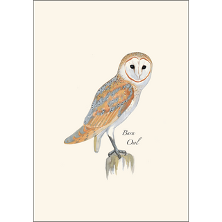 Sibley Owl Assortment image 2