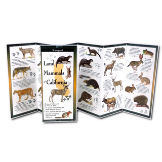 Land Mammals of California image 1