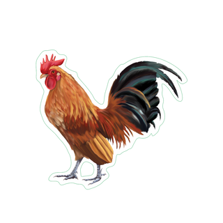 Bantam Chicken image 1