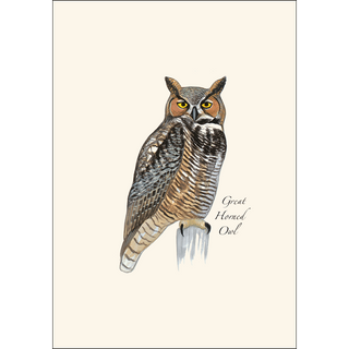 Sibley Owl Assortment image 3