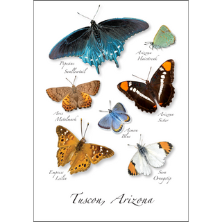 Southwest Butterflies image 0
